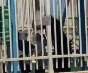אלימות גן מיוחד אשקלון, צילום: עבור אשקלנייעס