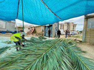 חלוקת סכך לתושבים. צילום: דוברות עיריית אשקלון