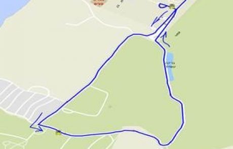 קו חדש באשקלון וכניסה חינם לפארק הלאומי