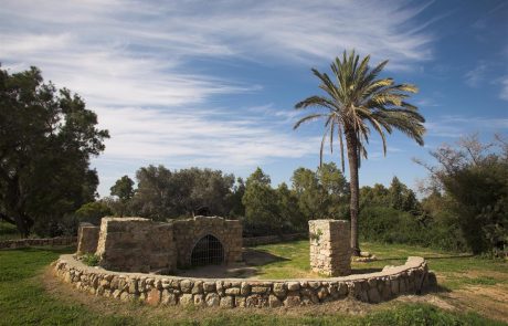 רוצים להדליק מנגל באשקלון? תבחרו אם להפרד מ730 או 20 ש"ח