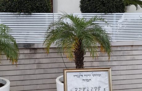 שריפה פרצה בביתו של עו"ד שי רובין וצפו מה שרד: