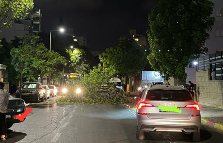 אזעקות באשקלון, פצועים מרסיס באשדוד, חשש ללכודים כעת בשריפה באשקלון ואיך נפל עץ בשכונת נווה אילן לפני עשרים דקות?