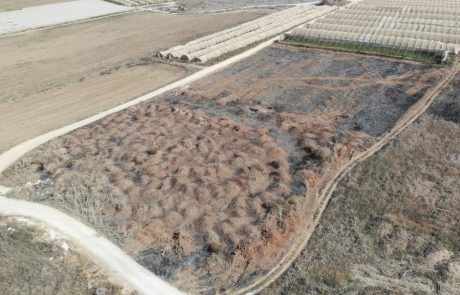 מזעזע: עבריין נמלט לאשקלון – המשטרה לכדה אותו