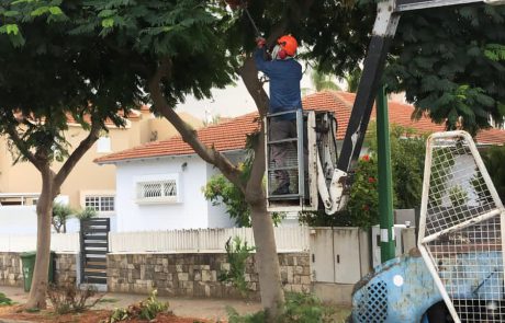 מגיע להם פרגון – עיריית אשקלון נערכה מראש הפעם לסערה – לעת עתה אין דיווחים על הצפות, צפו: