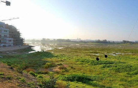 אגמים: למרות ההבטחות, שלולית החורף לא תהפוך לאגם אטקרטיבי. העירייה תקים אגם חדש בפרוייקט של 100 מיליון ש"ח